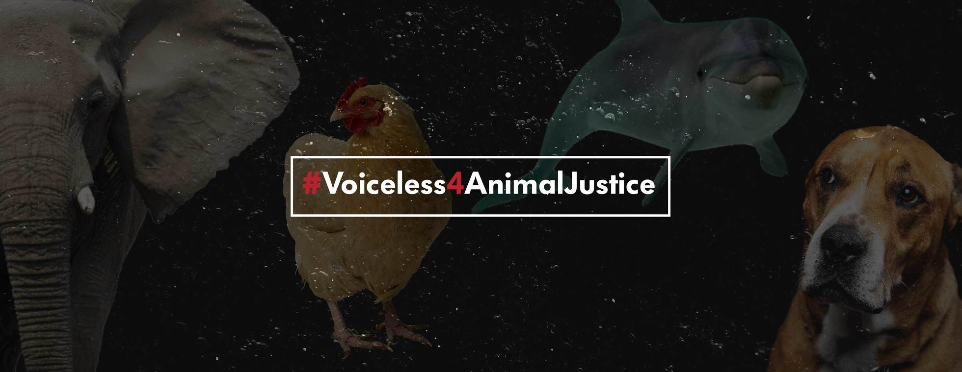 #Voiceless4AnimalJustice